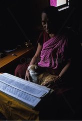 Chat de gouttière dans les bras d'un moine Tibet