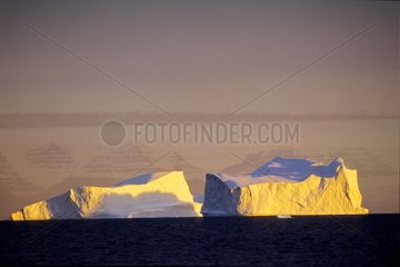Icebergs tabulaires jaunes dans le Scoresbysund