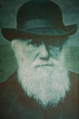 Portrait of Charles Darwin Galapagos
