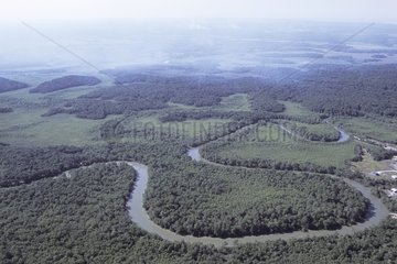 Air shot of River Mana's meander French Guiana