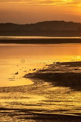 Sunset on the Lac du Der - Champagne France