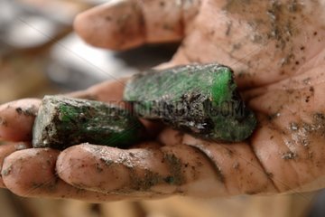 Crude emeralds in a hand Minas Girais Brazil