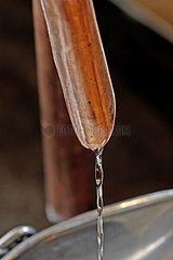 Distillation of kirsch brandy in Bernard Oudot France