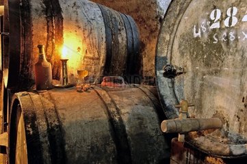 Tonneaux de chêne contenant du vin dans une cave Jura