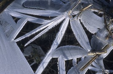 Geometrische Bildung von Eis und Frost in einem Teich