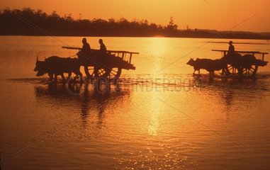 Ladete Ochsenwagen überqueren Rapti River bei Sonnenuntergang Nepal