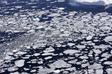 Broken sea ice around the Antarctic Peninsula