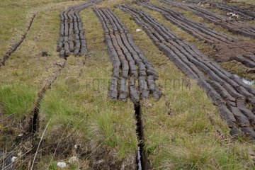 Bricks of peat drying in Ireland