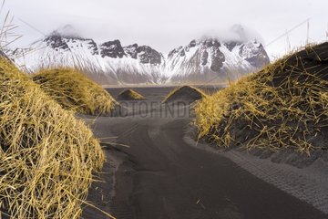 Stokksnes península - Hofn Iceland