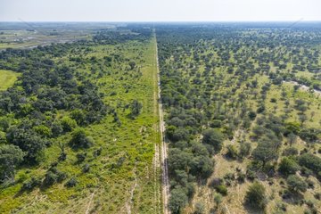Road in the savanna - Okavango Delta Botswana