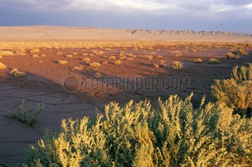 Desert of Atacama in Chile