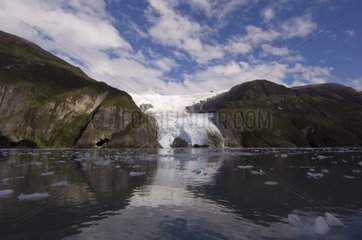 Floating Ice Glacier Garibaldi Tierra del Fuego Chile