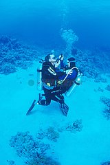 Learning Scuba diving in the Red Sea Egypt