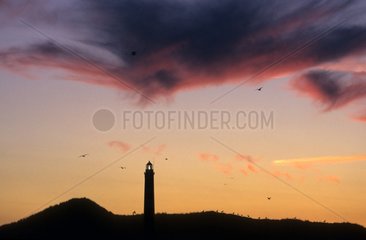 Lighthouse Leuchttuerme Wattenm Germany