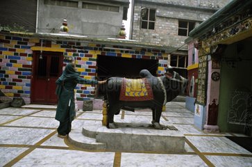 Prayer to Nandi Mandi Himachal Pradesh India