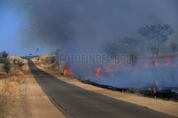 Feuer und Brennen Feuer neben einer Straße in der Trockenzeit Australien