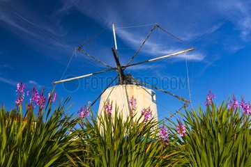 Windmill at Alentejo in Portugal