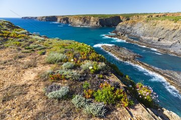NP of Southwest Alentejo and Costa Vicentina in Portugal