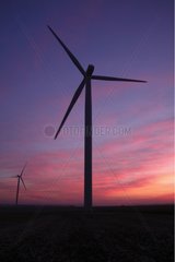 Windmills at sunset in the Plaine du Moulin France