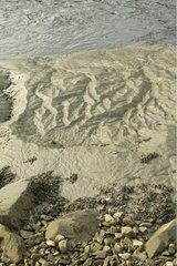 Sand modelliert von Dourduff River Plouezoc'h Frankreich