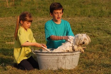 Enfants lavant un coton de Tuléar