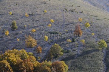 Fall Landscape of PN Abruzzo Italy