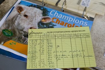 Künstliche Inseminationsform für Kühe Frankreich
