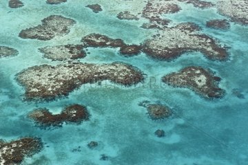 Récifs corallien en vue aérienne Belize