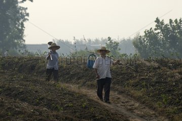 Ein paar chinesische Bauern  die aus dem Feld Hubei China zurückkehren