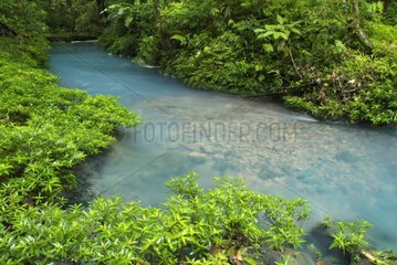 Rio Celeste with blue water Tenorio National Park