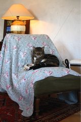 Cat lying on a living room armchair