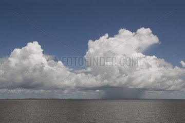 Horizon on the Amazon river Brazil
