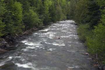 St-Anne River in Spring Gaspésie NP Quebec Canada