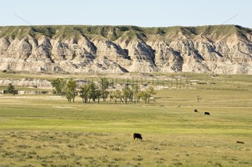 Landschaft der Badlands NP South Dakota USA