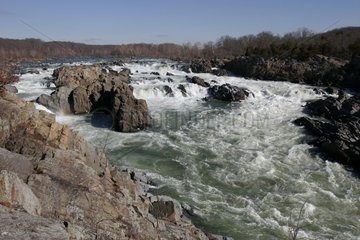 Chute du fleuve Potomac Great Falls National Parc USA