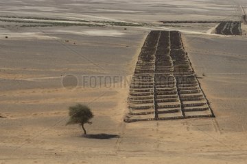 Constructions against progression of desert near a village