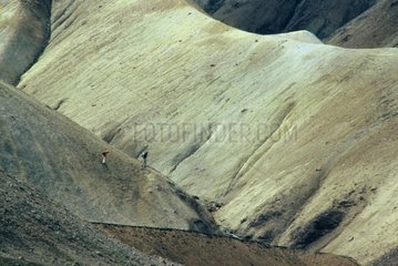 Randonneurs parmi les collines de rhyolite Islande