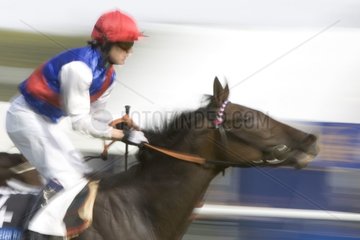 Thread photograph of a horse and its rider in race