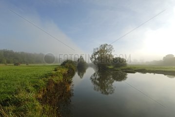 Morning Nebel am Fluss Allan aufzuziehen