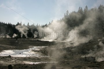 Fumaroles of Norris Geyser Basin NPof Yellowstone USA
