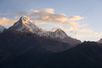 Snowy summit of Annapurna 1 Nepal