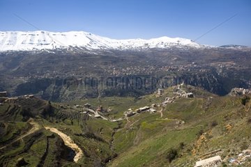 Village Bqorqasha Qadisha Valley Lebanon