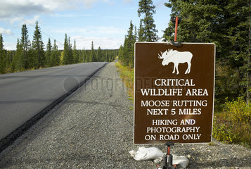 Prevention sign in the park  Denali National Park  Alaska  USA