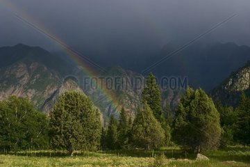 Regenbogen auf der soliden Masse von Tien Shan im Sommer