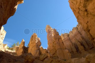 Intérieur des massifs érodés de Bryce Canyon