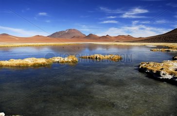 Salar de Pujsa Los Flamencos national reserve Atacama Chili