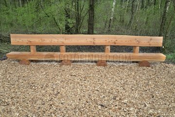 Wooden bench near the forest - France-Comté France