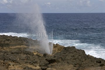Wasser in der Luft auf der Rocky Coast Guadeloupe projiziert