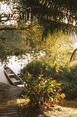 Bartola Nicaragua Private Reserve