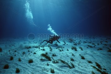 Diver searching and blowing a magnetic hit Bahamas
